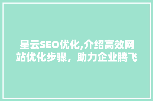 星云SEO优化,介绍高效网站优化步骤，助力企业腾飞