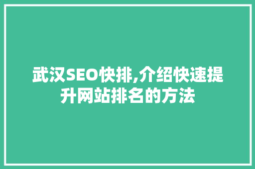 武汉SEO快排,介绍快速提升网站排名的方法