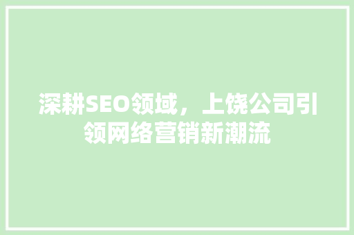 深耕SEO领域，上饶公司引领网络营销新潮流