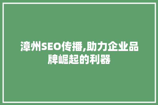 漳州SEO传播,助力企业品牌崛起的利器