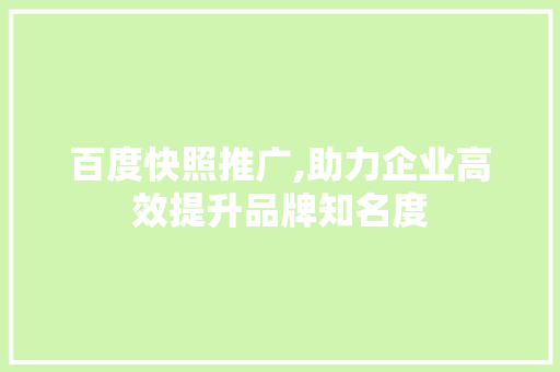 百度快照推广,助力企业高效提升品牌知名度