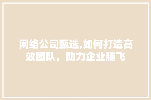 网络公司甄选,如何打造高效团队，助力企业腾飞