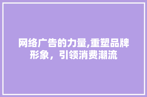 网络广告的力量,重塑品牌形象，引领消费潮流