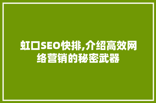 虹口SEO快排,介绍高效网络营销的秘密武器