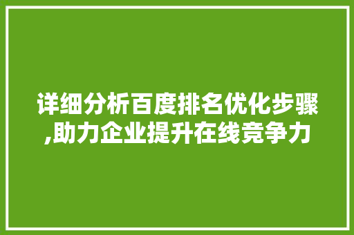 详细分析百度排名优化步骤,助力企业提升在线竞争力