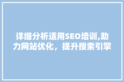 详细分析适用SEO培训,助力网站优化，提升搜索引擎排名