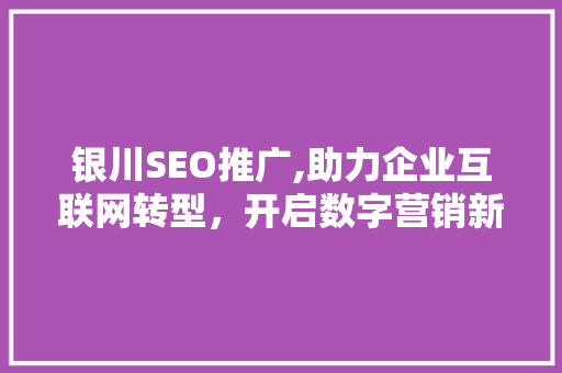 银川SEO推广,助力企业互联网转型，开启数字营销新篇章