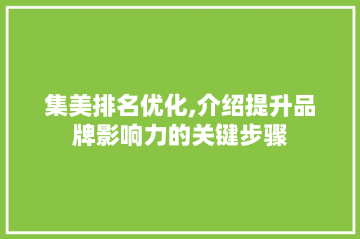 集美排名优化,介绍提升品牌影响力的关键步骤