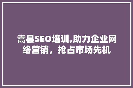 嵩县SEO培训,助力企业网络营销，抢占市场先机