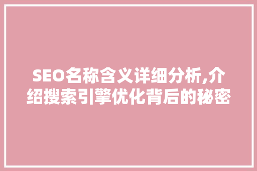 SEO名称含义详细分析,介绍搜索引擎优化背后的秘密