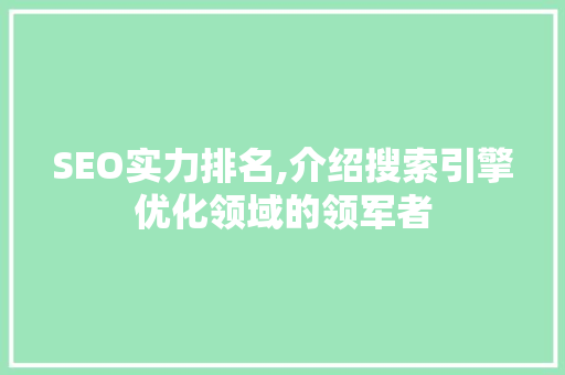 SEO实力排名,介绍搜索引擎优化领域的领军者