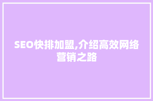 SEO快排加盟,介绍高效网络营销之路