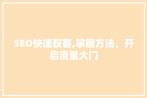 SEO快速获客,掌握方法，开启流量大门