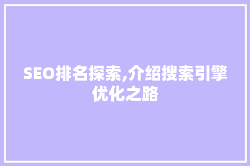 SEO排名探索,介绍搜索引擎优化之路