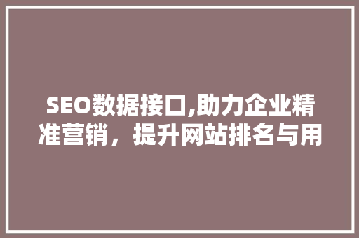 SEO数据接口,助力企业精准营销，提升网站排名与用户体验