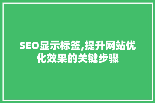 SEO显示标签,提升网站优化效果的关键步骤