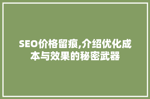 SEO价格留痕,介绍优化成本与效果的秘密武器