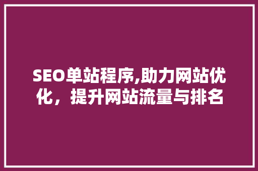 SEO单站程序,助力网站优化，提升网站流量与排名