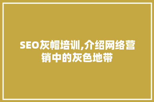 SEO灰帽培训,介绍网络营销中的灰色地带