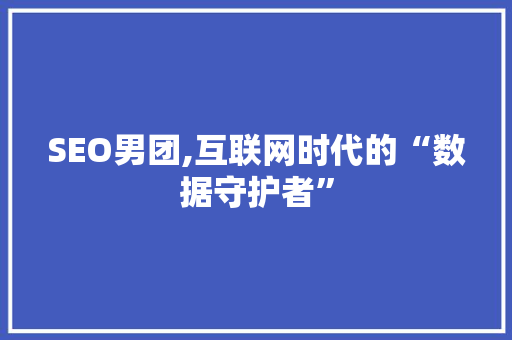 SEO男团,互联网时代的“数据守护者”