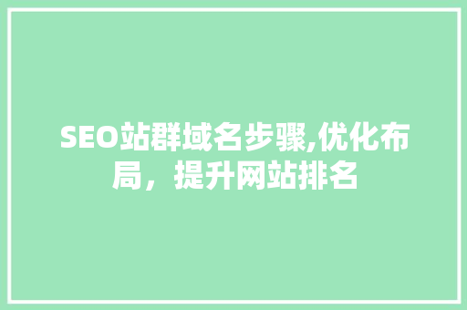 SEO站群域名步骤,优化布局，提升网站排名