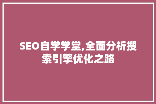 SEO自学学堂,全面分析搜索引擎优化之路