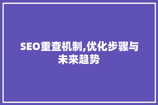 SEO重查机制,优化步骤与未来趋势