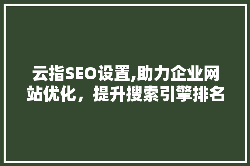 云指SEO设置,助力企业网站优化，提升搜索引擎排名