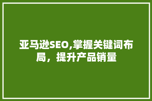 亚马逊SEO,掌握关键词布局，提升产品销量