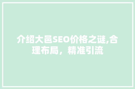 介绍大邑SEO价格之谜,合理布局，精准引流