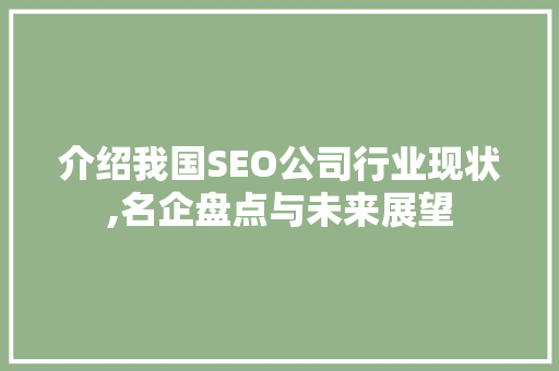 介绍我国SEO公司行业现状,名企盘点与未来展望