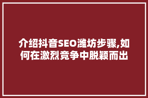 介绍抖音SEO潍坊步骤,如何在激烈竞争中脱颖而出