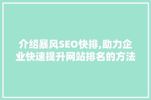 介绍暴风SEO快排,助力企业快速提升网站排名的方法