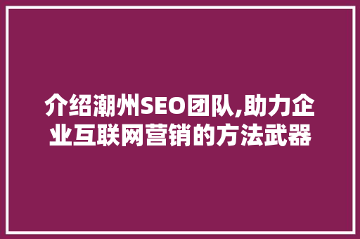 介绍潮州SEO团队,助力企业互联网营销的方法武器