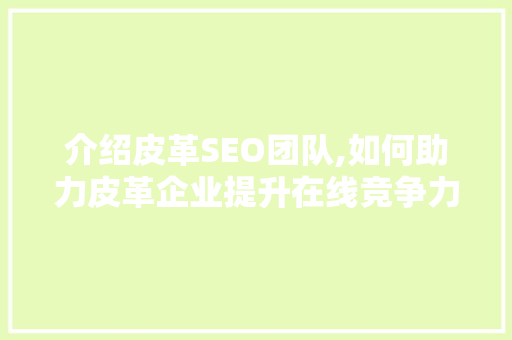 介绍皮革SEO团队,如何助力皮革企业提升在线竞争力