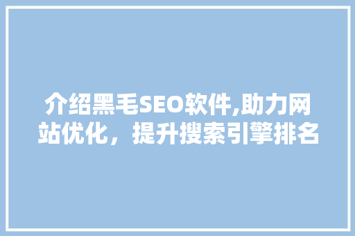 介绍黑毛SEO软件,助力网站优化，提升搜索引擎排名的利器