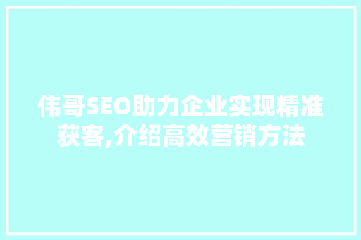 伟哥SEO助力企业实现精准获客,介绍高效营销方法