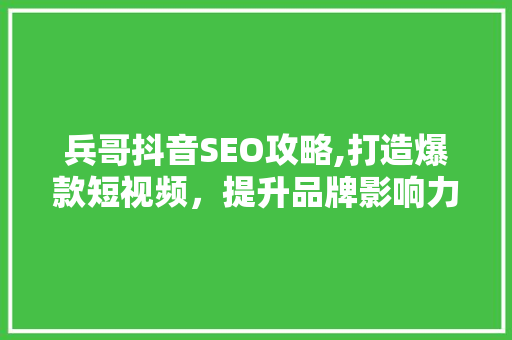 兵哥抖音SEO攻略,打造爆款短视频，提升品牌影响力