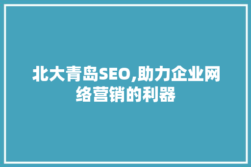 北大青岛SEO,助力企业网络营销的利器