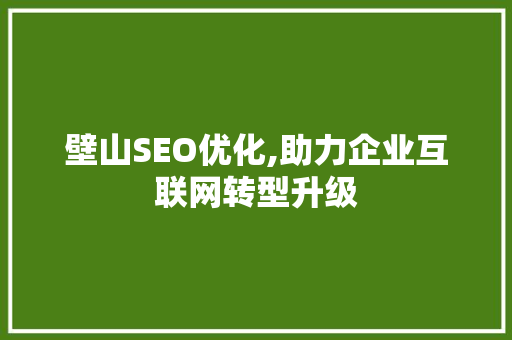 壁山SEO优化,助力企业互联网转型升级