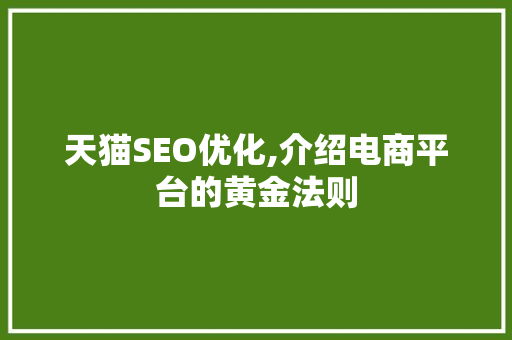 天猫SEO优化,介绍电商平台的黄金法则