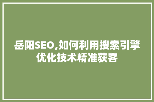 岳阳SEO,如何利用搜索引擎优化技术精准获客