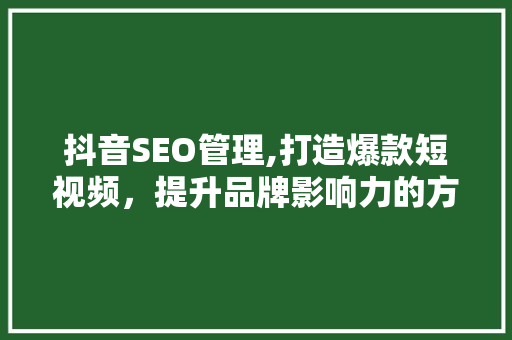 抖音SEO管理,打造爆款短视频，提升品牌影响力的方法