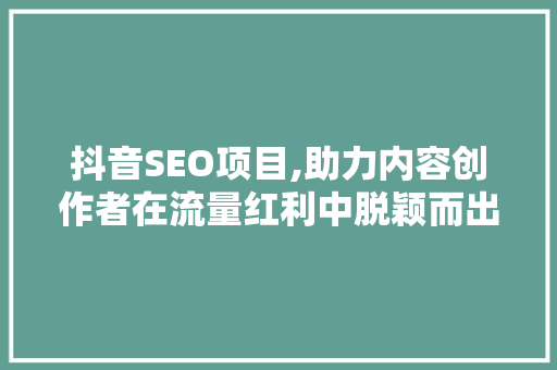 抖音SEO项目,助力内容创作者在流量红利中脱颖而出