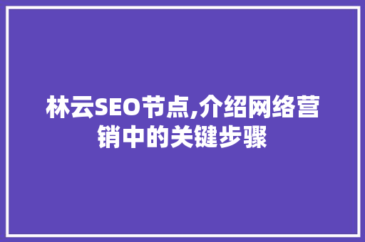 林云SEO节点,介绍网络营销中的关键步骤