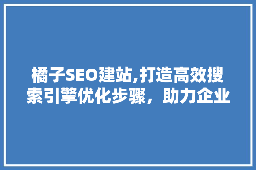 橘子SEO建站,打造高效搜索引擎优化步骤，助力企业腾飞