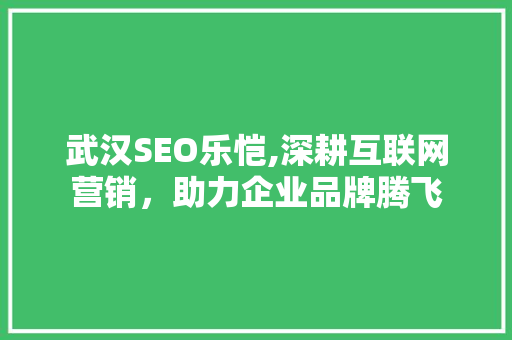 武汉SEO乐恺,深耕互联网营销，助力企业品牌腾飞