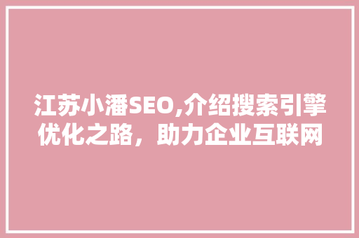江苏小潘SEO,介绍搜索引擎优化之路，助力企业互联网营销