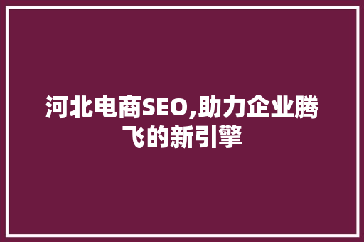河北电商SEO,助力企业腾飞的新引擎