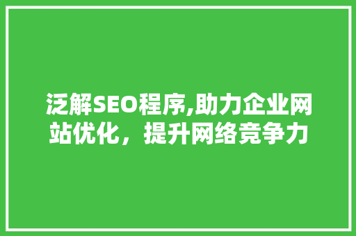 泛解SEO程序,助力企业网站优化，提升网络竞争力